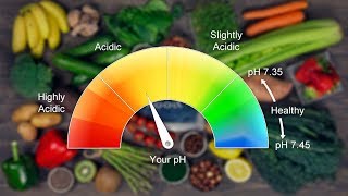 10 Highly Alkaline Foods That Will Benefit Your Body Alkaline Foods List [upl. by Kurtzman]