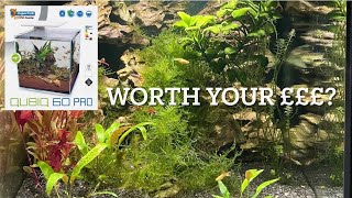 CUBIQ 60 AQUARIUM one year review pros and cons is it worth buying [upl. by Sharai]