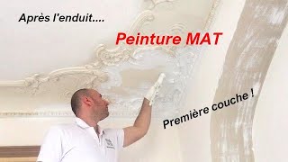 Peinture Mat  Rénovation Plafond 22 [upl. by Naitsyrk]