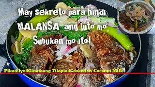 Pikadilyo  Ginataang Tilapia Ang sekretong recipe ni Lola Prinito muna bago gataan [upl. by Laband]