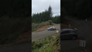 Wrc rally wales 2019 Forest stage [upl. by Nanor]