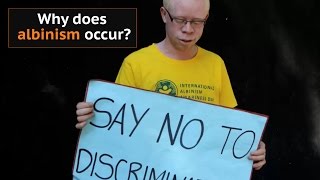 Why does albinism occur [upl. by Yvor]