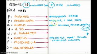 OSTEOMYELITIS  Easy Memorize Technique [upl. by Essiralc]