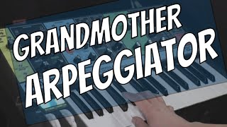 Moog Grandmother Tutorial  Arpeggiator Explained [upl. by Ieso]