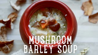 Mushroom Barley Soup BA Recipes [upl. by Adneram]