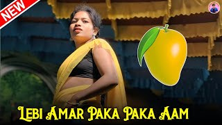 Lebi Amar Paka Paka Aam  New Santali Dinajpur Video 2024  Santhali Dinajpur Song  Stage Program [upl. by Iglesias763]