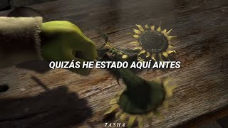 Aleluya  Shrek Escena Letra Subtitulada [upl. by Gaivn]