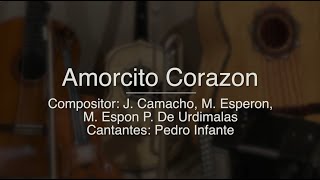 Amorcito Corazon  Puro Mariachi Karaoke  Pedro Infante [upl. by Fayette]