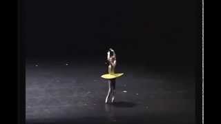 Evgenia Obraztsova The Vertiginous Thrill of Exactitude [upl. by Tarah]