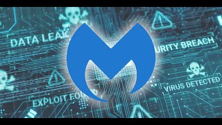 Why Malwarebytes Premium is a Must Have [upl. by Lluj]