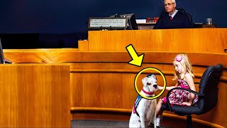 Una niña hace señas a su perro El juez se da cuenta y detiene el juicio cuando el perro reacciona [upl. by Ailla441]