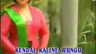 Kendal kaline wungu [upl. by Bernelle]