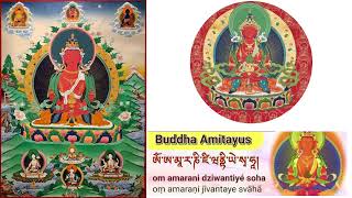 Buddha Amitayus recited by HH Namkhai Nyingpo Rinpochoe 🙏🙏🙏 [upl. by Piwowar]