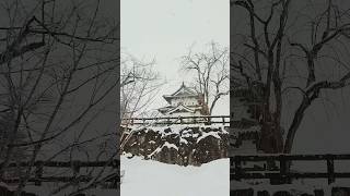 日本環島旅行｜百大名城｜青森縣Aomori｜弘前城 Hirosaki Castle ｜現存12天守閣｜Travelling in Japan｜日本旅遊 [upl. by Hsital]