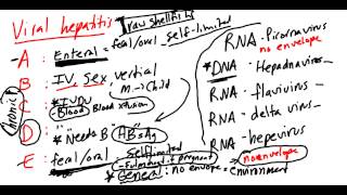 Viral Hepatitis Made Simple [upl. by Anomar]