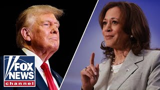 Harris says she will vote to certify Trump win [upl. by Drandell504]