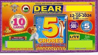 Diwali Bumper 2024  5 Crore 💥 1st prize Nagaland State Dear Puja 🙏 Bumper 2024 Lottery Review [upl. by Nytsrik649]