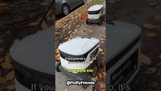 They DO say thank you when you help them 😂😂😂subscribe funnydubbing funny [upl. by Svend]