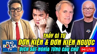 Dịch sát nghĩa từng câu chữ đơn kiện của ĐVH và kiện ngược của tỷ phú Mỹ Lột trần nhiều góc khuất [upl. by Donalt]