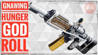 GOD ROLL Gnawing Hunger Guide  Best Crucible Auto Rifle  Destiny 2 Season of arrivals [upl. by Atinus]