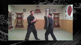 Taijutsu BujinkanNinjutsu Lesson  Ninja Training Video Blog [upl. by Aitnauq342]