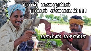 புயல் மழையில் முயல் சமையல்   மாம்ஸ் மசாலா  HEALTH BENIFITS [upl. by Weigle942]