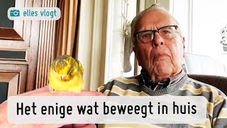 De Kanarie van Theo is dood  Vlog Elles  MAX Meldpunt [upl. by Ellenahs900]