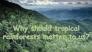 Why should tropical rainforests matter to us [upl. by Terpstra]