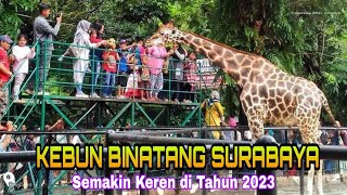 ADA YANG BARU DI KEBUN BINATANG SURABAYA 2023 [upl. by Karalynn]