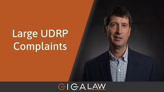 Domain Name Masterclass 9 Large UDRP Complaints [upl. by Nobel]