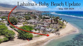 Lahaina Maui  Baby Beach Update  9 Months After the Fire [upl. by Yojal]