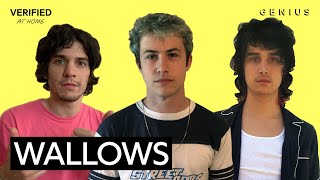 Wallows quotOKquot Official Lyrics amp Meaning  Verified [upl. by Kimberley]