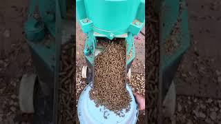 Electric poultry chicken feeds grass pellet making machine diesel cattle pelletizer machine [upl. by Thor257]