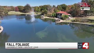 Drone 4 Fall foliage at Carondelet Park [upl. by Minny]