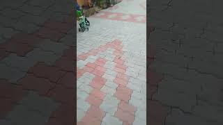 paver block laying work [upl. by Ynnoj]