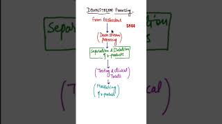 What is Downstream Processing Biotechnology downstream processing biology shorts [upl. by Acsirp942]