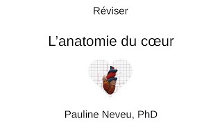 Physiologie CardioVasculaire – Réviser l’anatomie du cœur 001  Dr Pauline Neveu [upl. by Idola172]