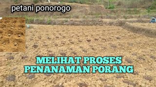 MELIHAT PENANAMAN PORANG PARA PETANI DIPELOSOK DESA [upl. by Enelad]