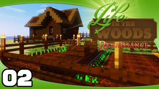 Life in the Woods Renaissance  Ep 2 Farms and Mines [upl. by Alue]