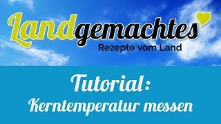 Tutorial  Kerntemperatur messen [upl. by Isewk125]