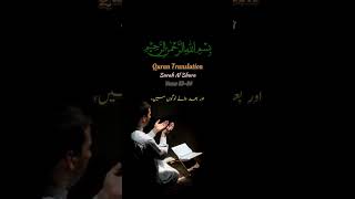 Surah Shura translation youtubeshorts trending islamicvideo yshorts shorts [upl. by Zackariah]