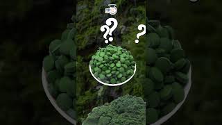 Chlorella Growth Factor Natures Cellular Booster I Manish Shrivastava I StudyIQ IAS Hindi [upl. by Eidob994]