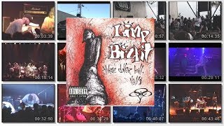 Limp Bizkit  Three Dollar Bill Yalls  20th Anniversary  VideoVersion [upl. by Deming]