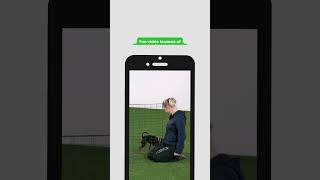 OneMind Dogs Online Dog Agility Starter Kit  FREE download [upl. by Dode]