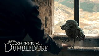 Deleted Scene Hogwarts Owlery  Fantastic Beasts The Secrets of Dumbledore [upl. by Alvera]