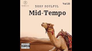 Deep Soulful MidTempo Vol 25 Mixed By Dj LukC SA 13th October 2023 [upl. by Eegnat106]