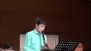 Allegro from Clarinet Concerto in E flat Op36 by Franz Krommer [upl. by Eneleoj]