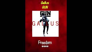 Rank The Tracks Gallas Gun [upl. by Enrobso]