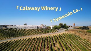 CallaWay Winery  Temecula California drone dronephotography travel dronevideo temecula [upl. by Ardnosal]