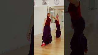 Pequeños movimientos flamencodance danzaespañola clasesdeflamenco [upl. by Eldnek39]